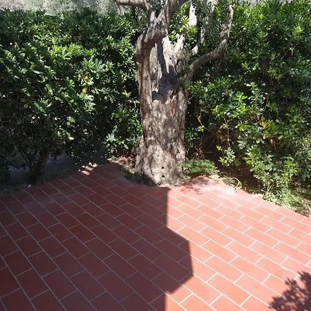 La Maison Du Parc 4*